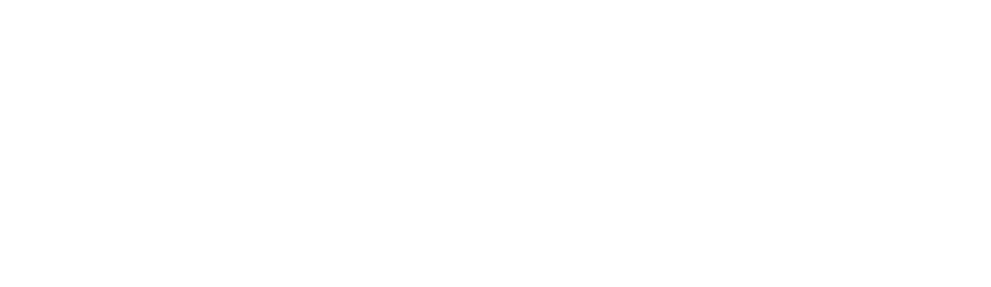 Mercedes-Benz Fellowship